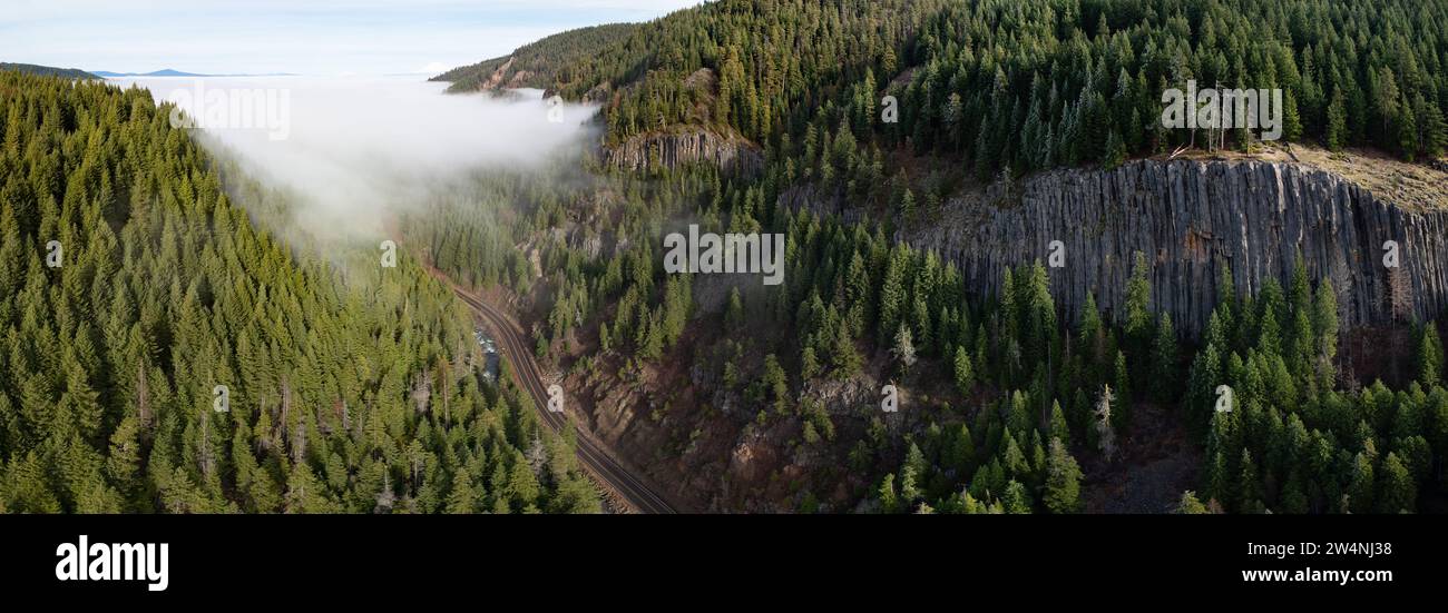 La foresta copre le aspre pendici orientali vicino al monte Hood, Oregon. La regione del Pacifico nord-occidentale è sede di vaste foreste, montagne e bacini acquatici. Foto Stock