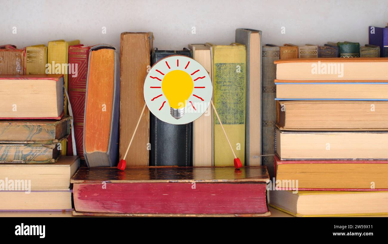 La conoscenza è potere, vari libri in una libreria con disegno di una lampadina, istruzione, apprendimento, lettura, idea, conoscenza Foto Stock