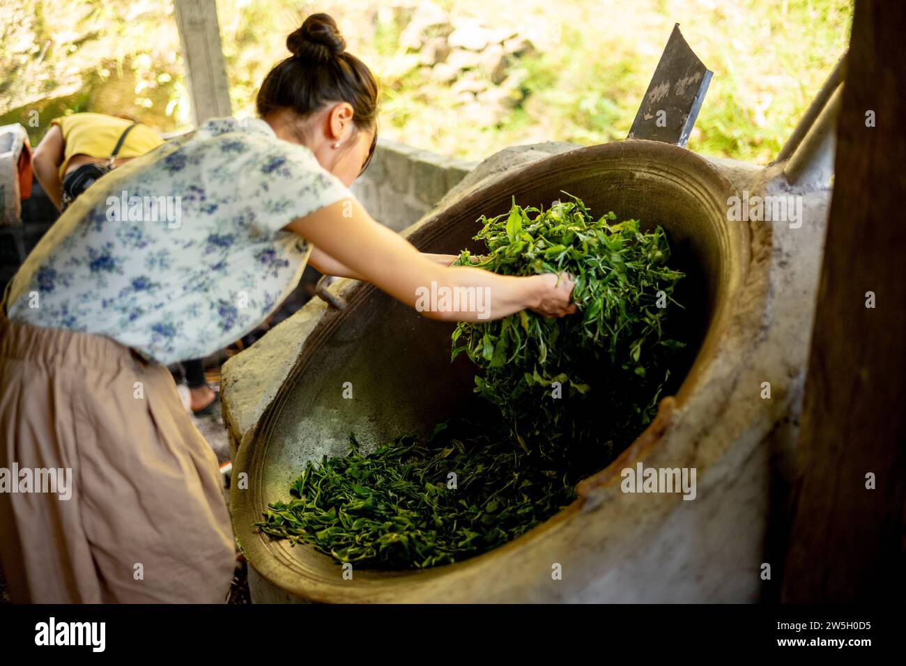 Preparazione del tè - ha Giang - Vietnam Foto Stock