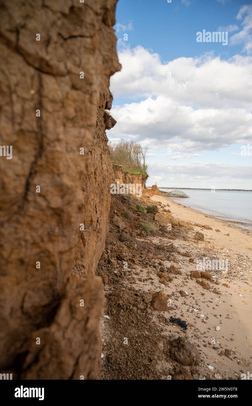 un albero caduto in mare dall'egda costiera Foto Stock