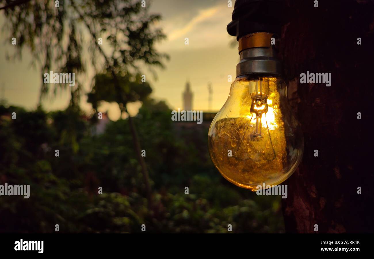 La lampadina elettrica sullo sfondo della luce del tramonto. Foto Stock