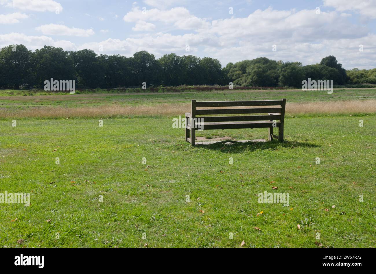 Panchina del parco al sole di mezzogiorno, Old Deer Park, Richmond-upon-Thames, Londra Foto Stock