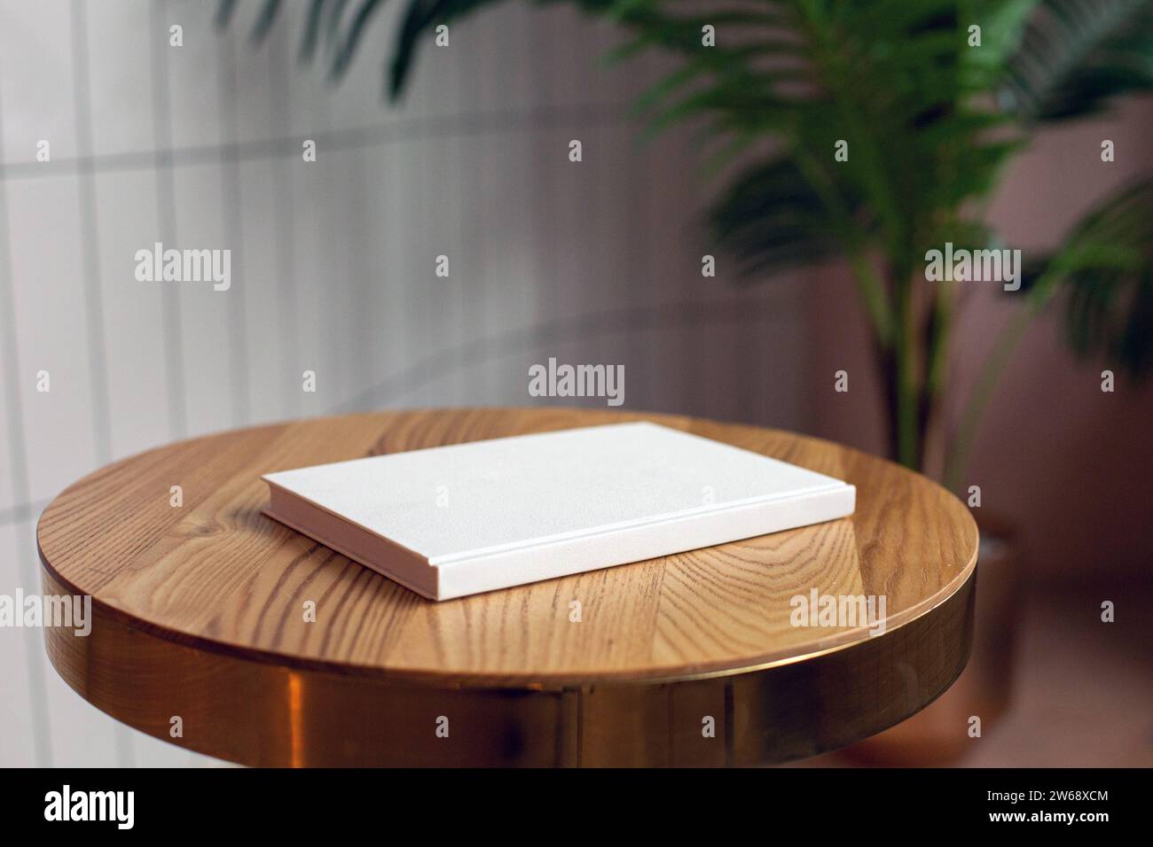 Modello di copertina del libro vuoto, modello del libro Foto Stock