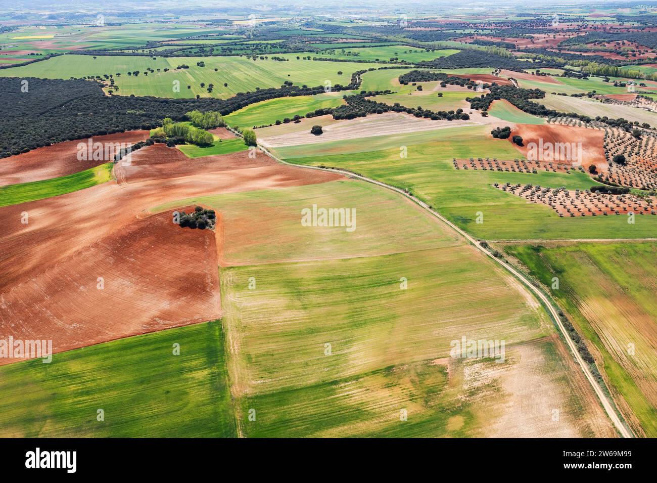 Un'istantanea aerea panoramica che cattura il mosaico di campi agricoli con varie sfumature di verde e marrone, intervallati da gruppi di alberi. Foto Stock