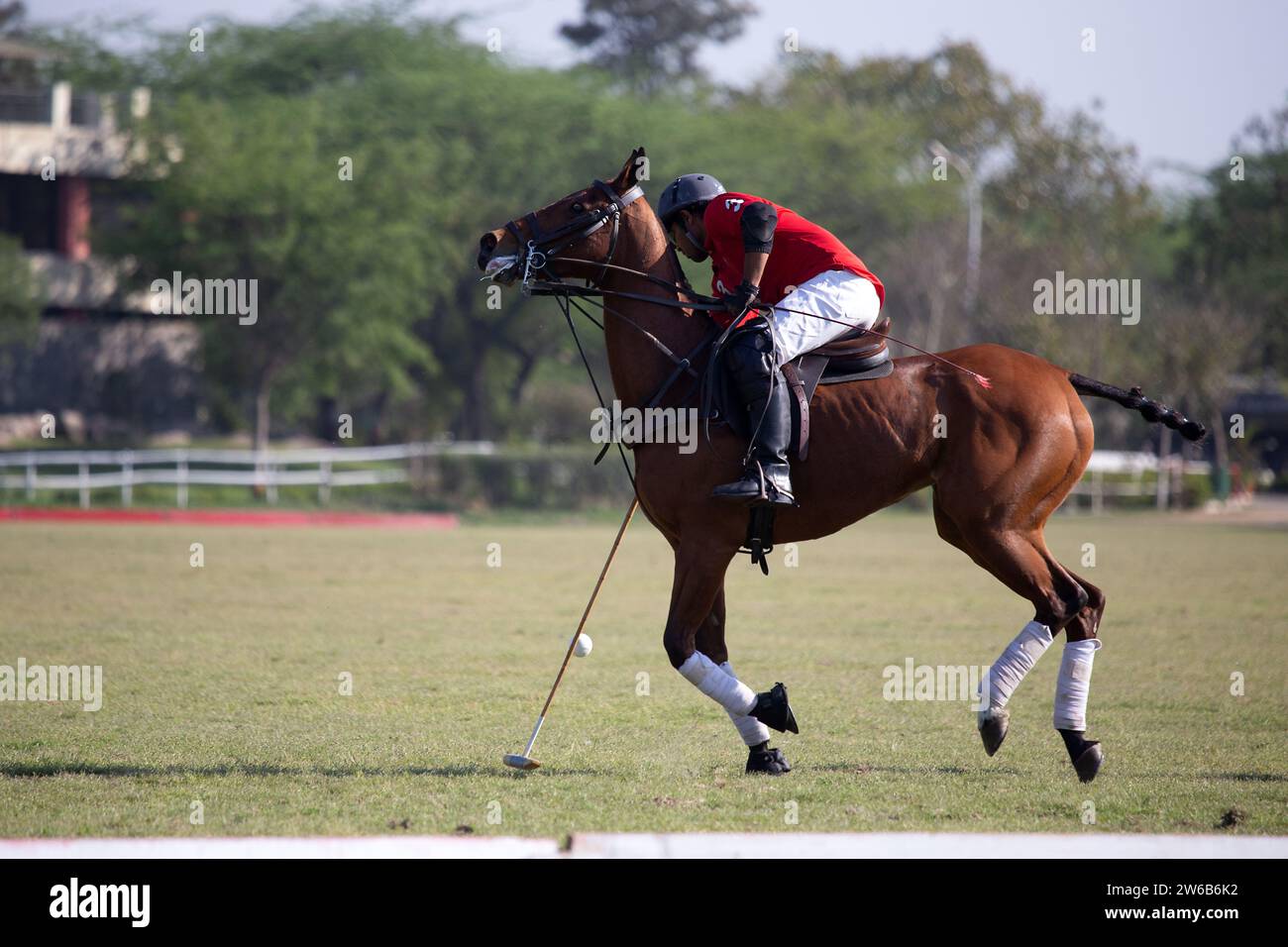 Uomo a cavallo che gioca una partita di polo, nuova Delhi, India Foto Stock