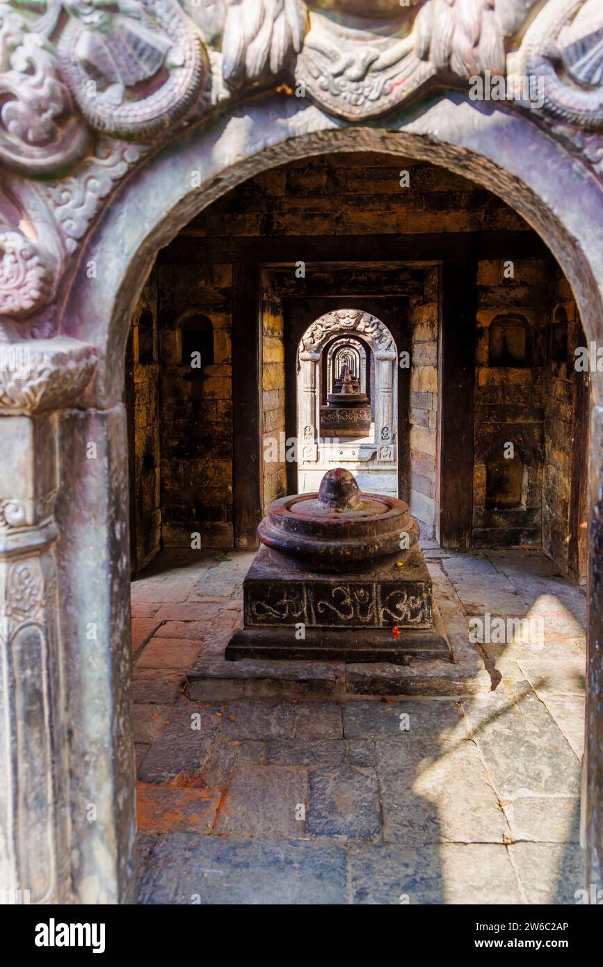 Ammira una serie lineare di stupa storici paralleli nel tempio indù Pashupatinath (patrimonio dell'umanità dell'UNESCO), Kathmandu, Nepal Foto Stock