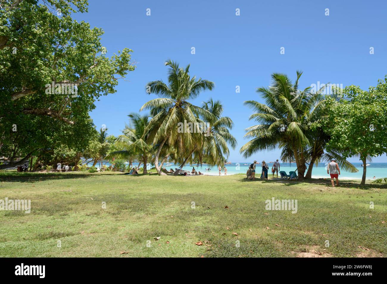 Costa D'Or Beach, Anse Volbert Village, Praslin Island, Seychelles, Oceano Indiano Foto Stock