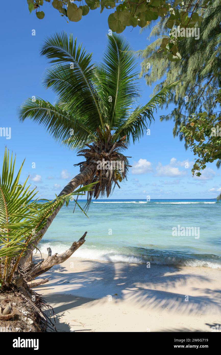 Spiaggia di Anse la Blague, isola di Praslin, Seychelles, Oceano Indiano Foto Stock