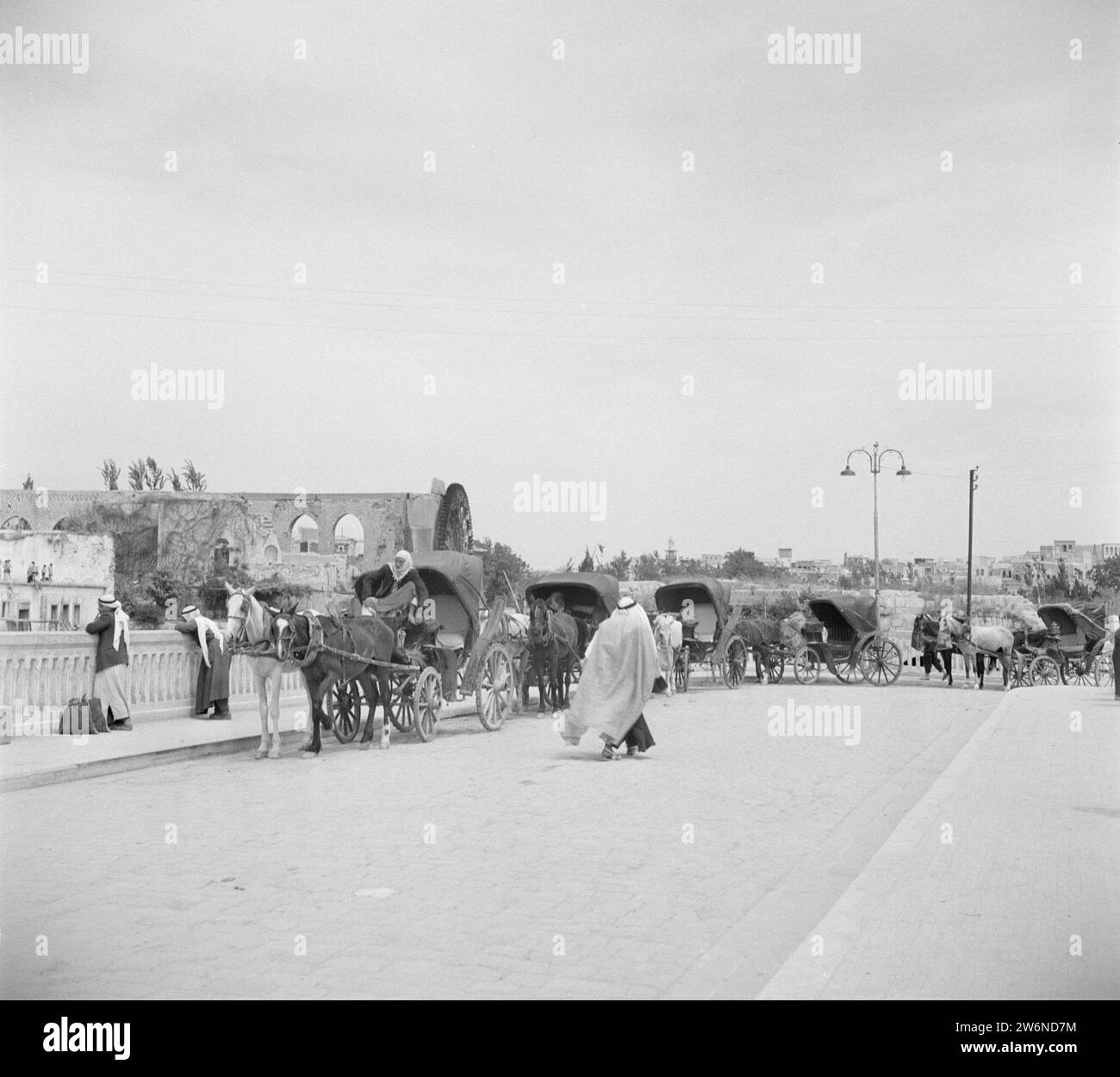 Cavalli e carrozze che servono i turisti di fronte alla ruota idraulica lungo il fiume Orontes a Hama, California. 1950-1955 Foto Stock
