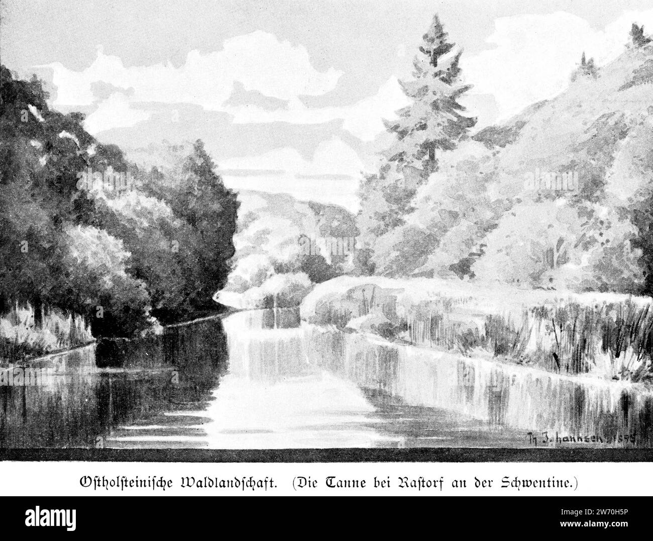 Paesaggio boscoso dello Schleswig-Holstein orientale, Rastorf sul fiume Schwentine, Germania settentrionale, Europa centrale Foto Stock