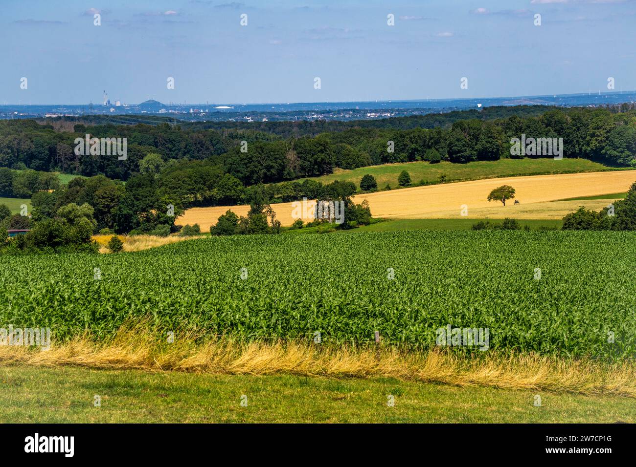 Vista panoramica in direzione ovest sull'Elfringhauser Schweiz, Hattingen, confine con la città di Sprockhövel, sullo sfondo Gelsenkirchen, Halde Obersch Foto Stock