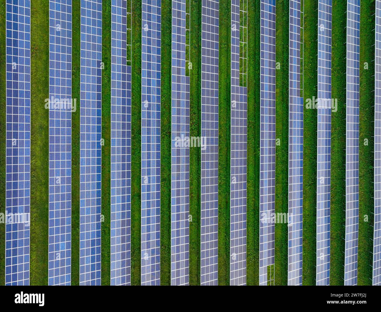 18.10.2023, Germania, Zittau, Sassonia - Solar Field Oberseifersdorf, Solar Park a Oberseifersdorf, nel comune di Mittelherwigsdorf. 00X231018D Foto Stock