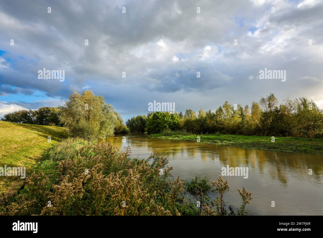 28.10.2023, Germania, Bergkamen, Renania settentrionale-Vestfalia - paesaggio autunnale sul Seseke. Il Seseke rinaturalizzato, un affluente del Lippe, è stato Foto Stock