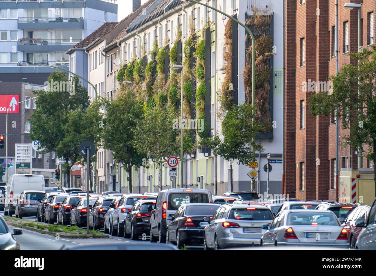 Facciate greening su condomini, su Gladbecker Strasse, B224, per filtrare gli ossidi di azoto e le particelle di polvere fine dall'aria, arrampicarsi sulle vigne, fluire Foto Stock