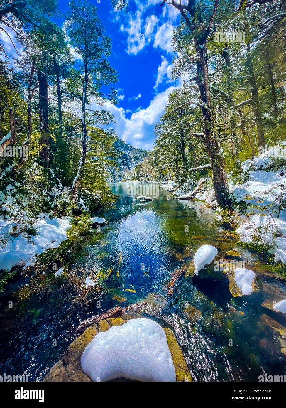 Huerquehue's National Park Foto Stock