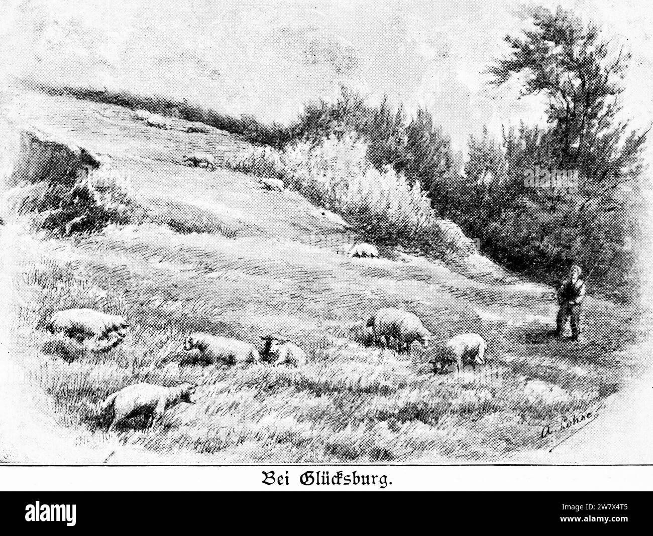 Pastore con alcune pecore in paesaggio rurale vicino a Glücksburg, Schleswig-Holstein, Germania settentrionale, illustrazione istrica 1896 Foto Stock
