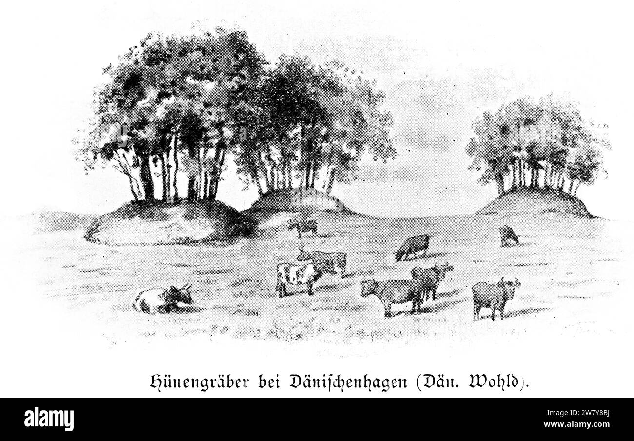 Luogo di sepoltura storico nel paesaggio rurale di Dänischenhagen o Danish Wohld vicino a Kiel, Schleswig-Holstein, Germania settentrionale, Europa centrale Foto Stock