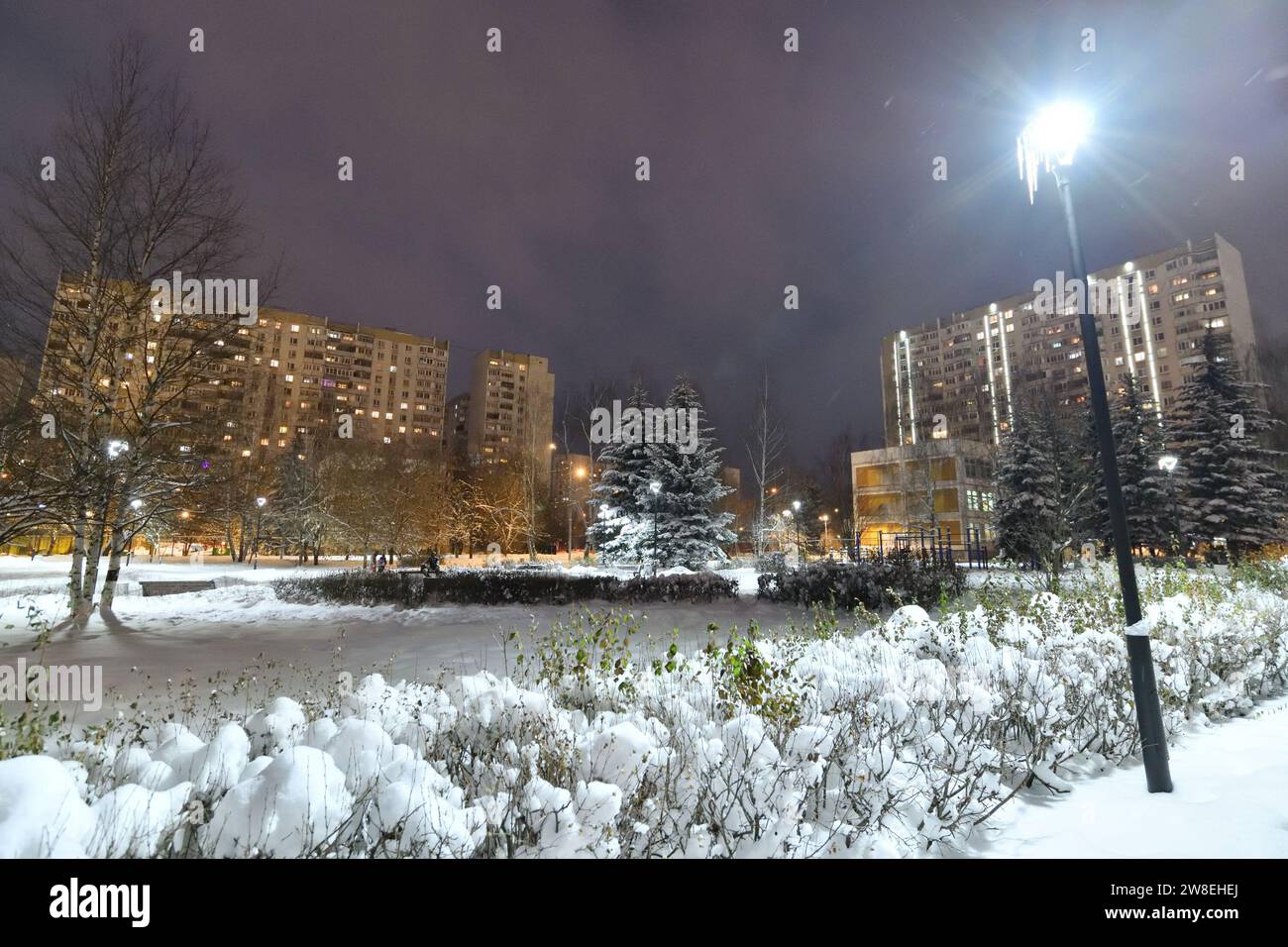 Paesaggio urbano invernale con edifici residenziali a più piani e abeti innevati a Mosca, Russia Foto Stock