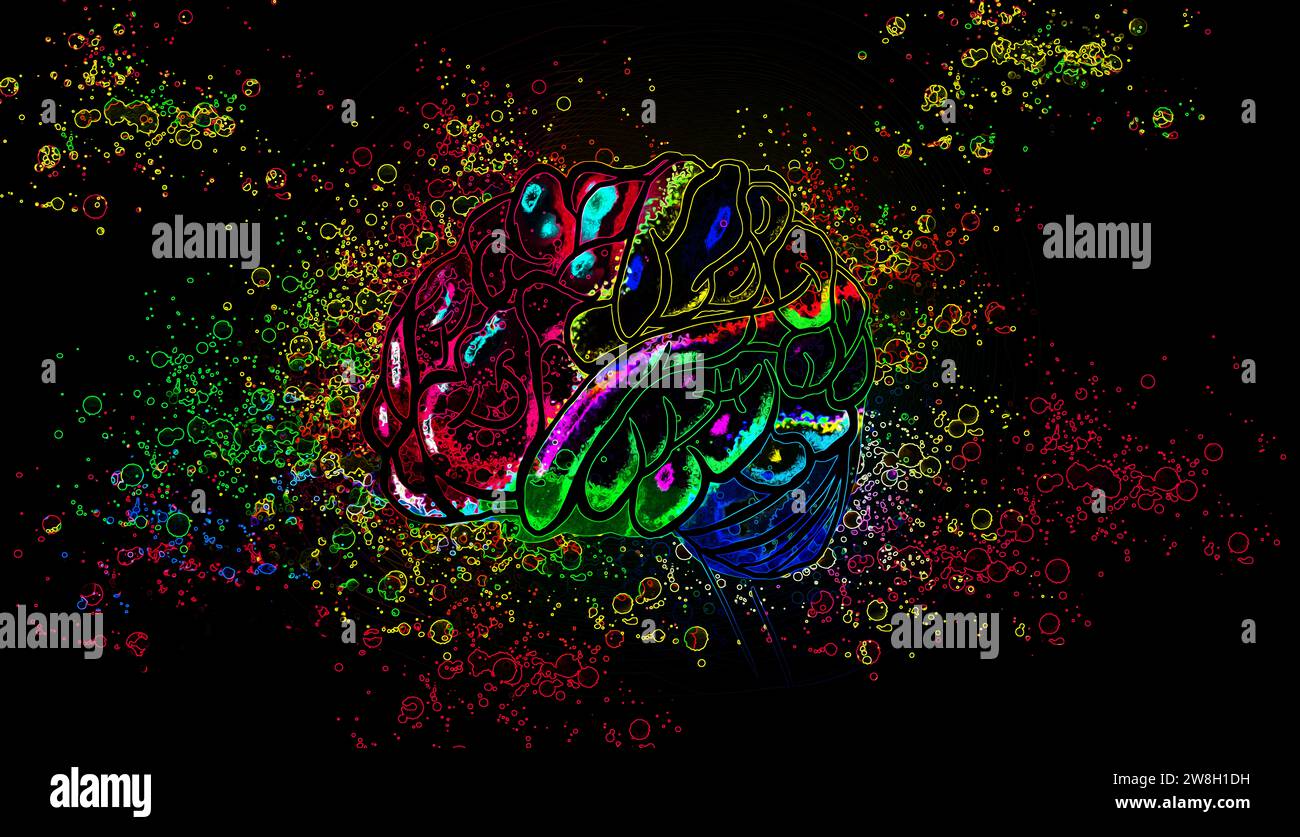 colorata illustrazione del cervello con schizzi di vernice per la pittura digitale Foto Stock