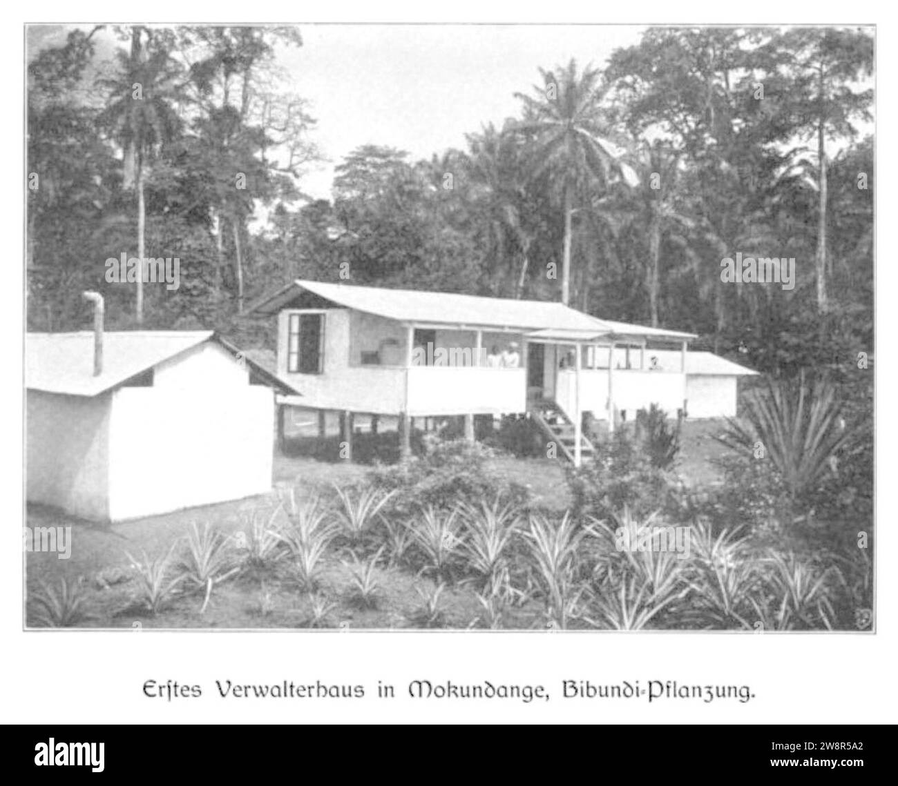 WOHLTMANN(1904) p047 Erstes Verwalterhaus a Moundange, Bibundi-Pflanzung. Foto Stock