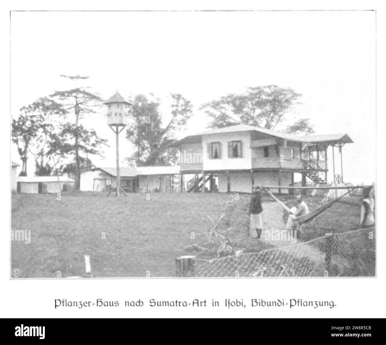 WOHLTMANN(1904) p044 Verwalter Haus a Isobi, Bibundi-Pflanzung. Foto Stock