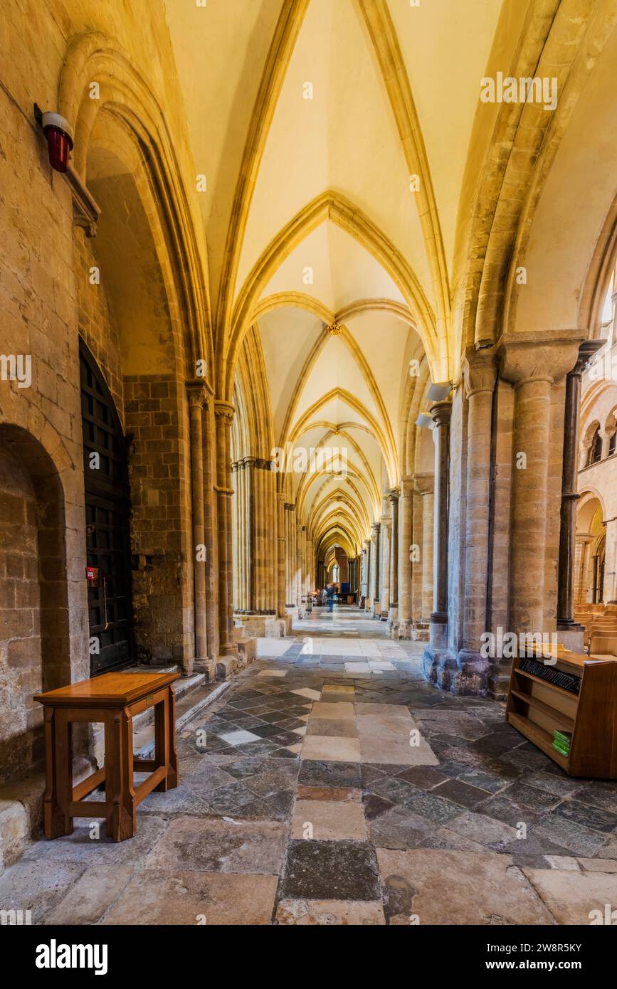 Edificio, architettura, classe colorata, Cattedrale di Chichester, Inghilterra. Foto Stock
