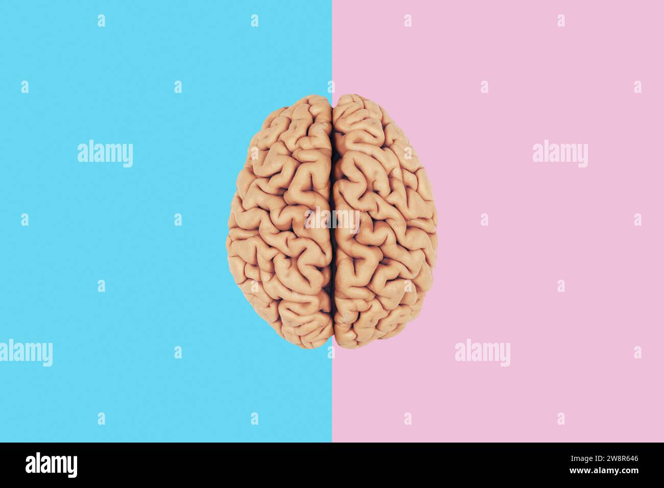 Cervello creativo su sfondo blu e rosa. Due emisferi cerebrali, idea creativa. Pensa in modo diverso, concetto. Foto Stock