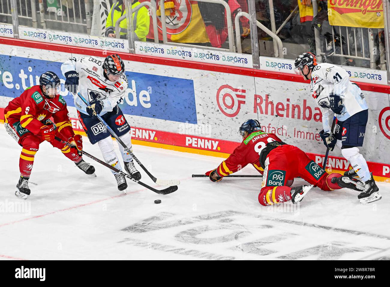 Eishockey DEL - Düsseldorfer EG vs ERC Ingolstadt AM 21.12.2023 im PSD Bank Dome in Düsseldorf Ingolstadts Enrico Henriquez-Morales (Nr.52) gegen Düsseldorfs Nicolas Geitner (Nr.5) und Ingolstadts Wayne Simpson (Nr.21) gegen Düsseldorfs Torsten Ankert (Nr.88) foto: Osnapix Foto Stock