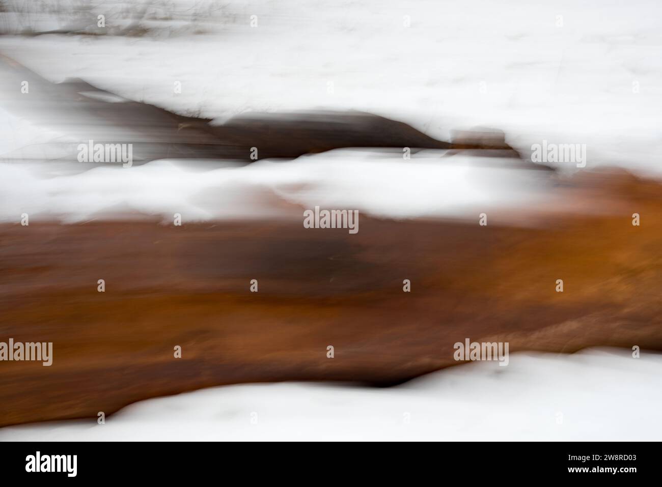 Immagini astratte del paesaggio forestale in inverno. Le immagini pittoriche vengono create utilizzando il movimento verticale o orizzontale della fotocamera durante l'esposizione. Foto Stock