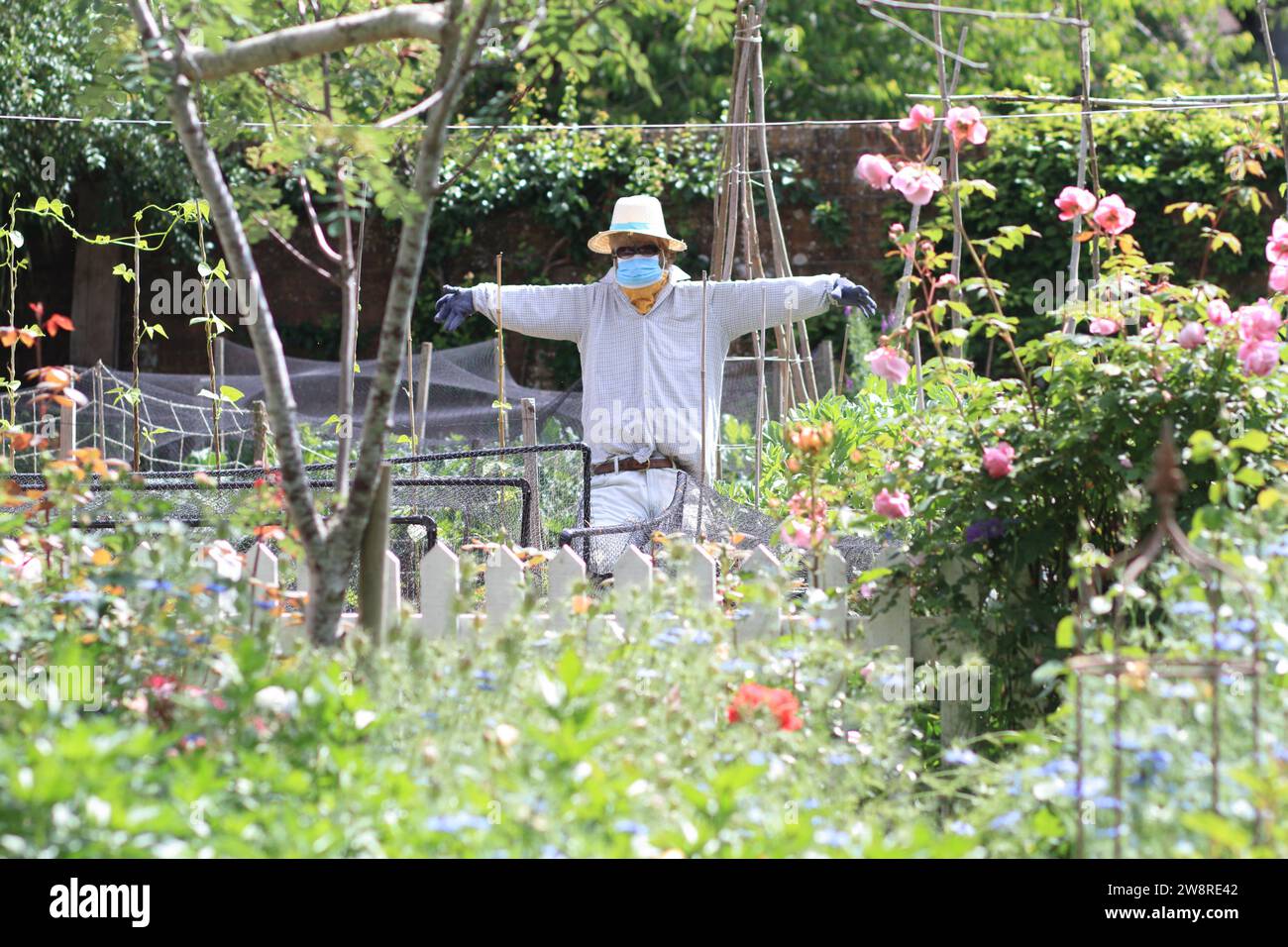 Uno spaventapasseri in un giardino soleggiato, che indossa una maschera medica, un cappello da barca in paglia, bandana, guanti e occhiali da sole Foto Stock