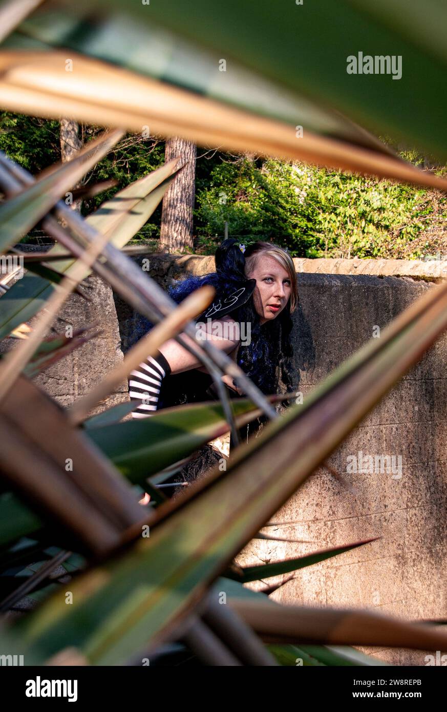Mhairi Miller che modella in un completo costume da favola presso i Dundee Botanic Gardens in Scozia, Regno Unito Foto Stock