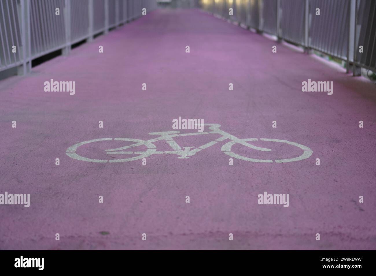 piste ciclabili rosa destinate ai ciclisti Foto Stock