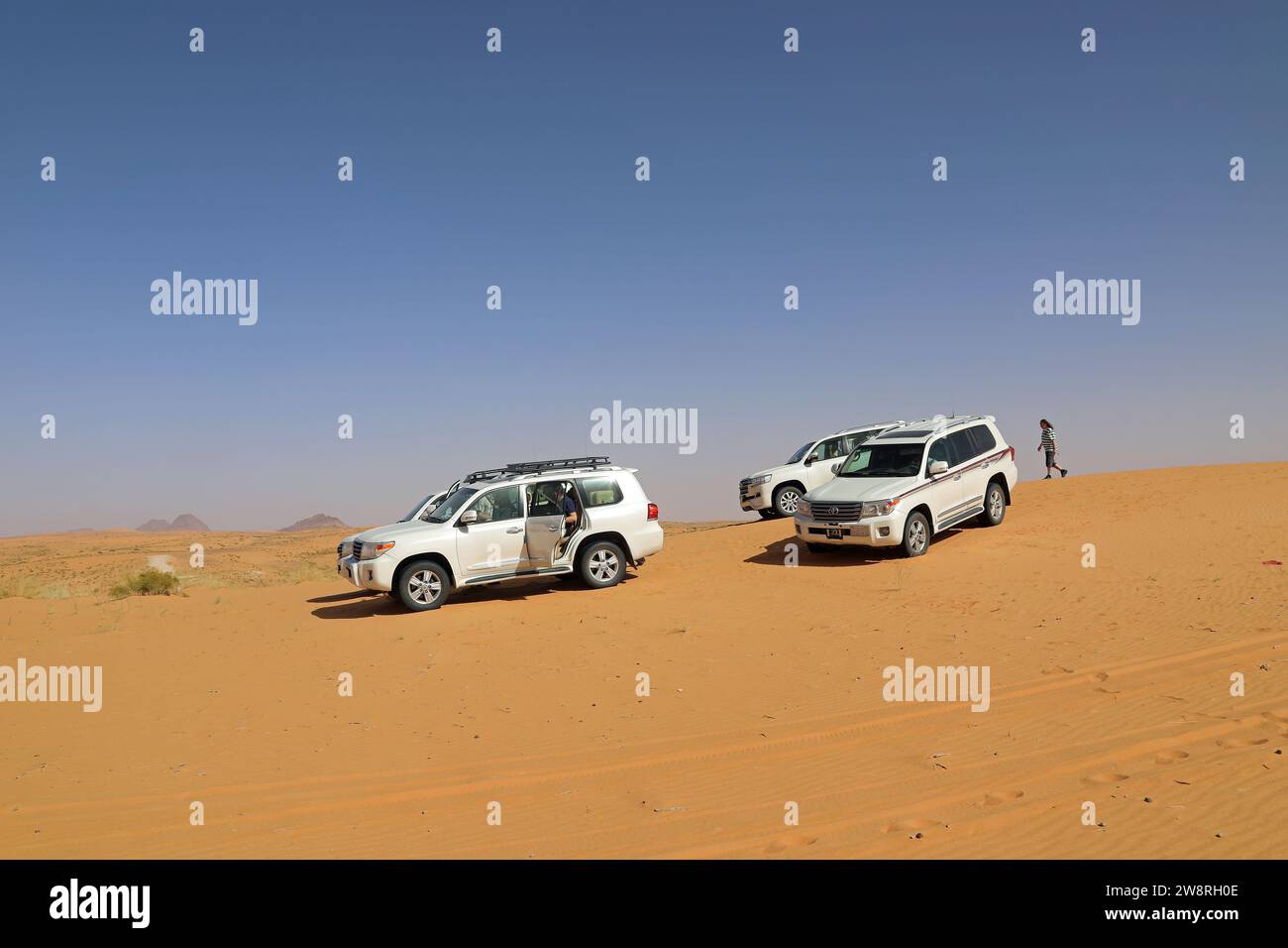 Grande deserto di dune di sabbia dell'Arabia Saudita Foto Stock