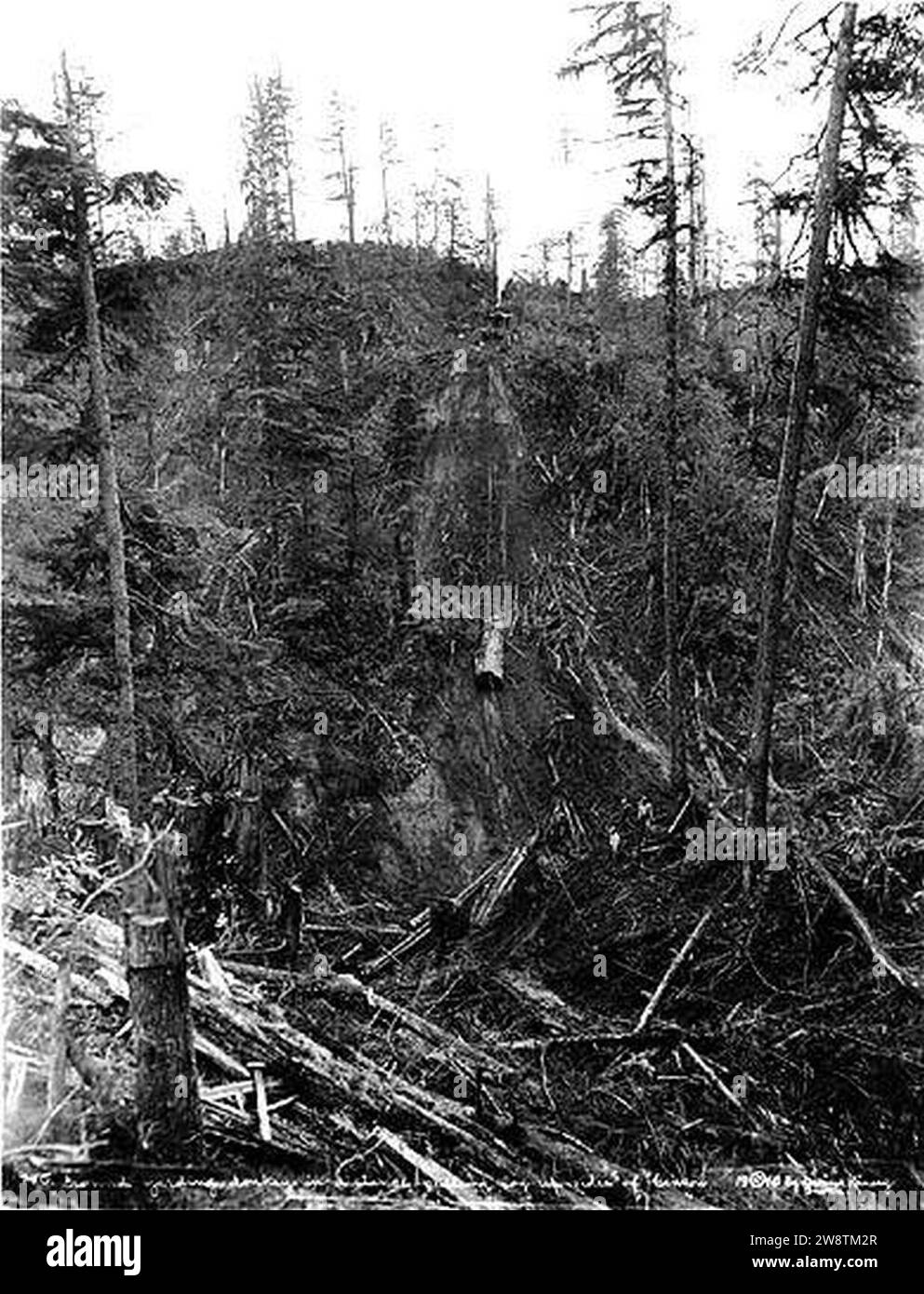 Motore asino di Yarding che trasporta il tronco sul lato del canyon, operazione di disboscamento non identificata, Washington, 1916 (KINSEY 2798). Foto Stock