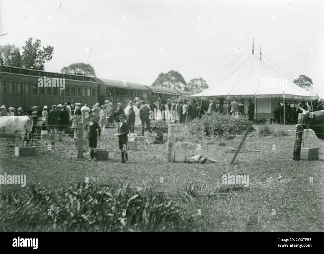 Yinnar Better Farming Train 1930. Foto Stock