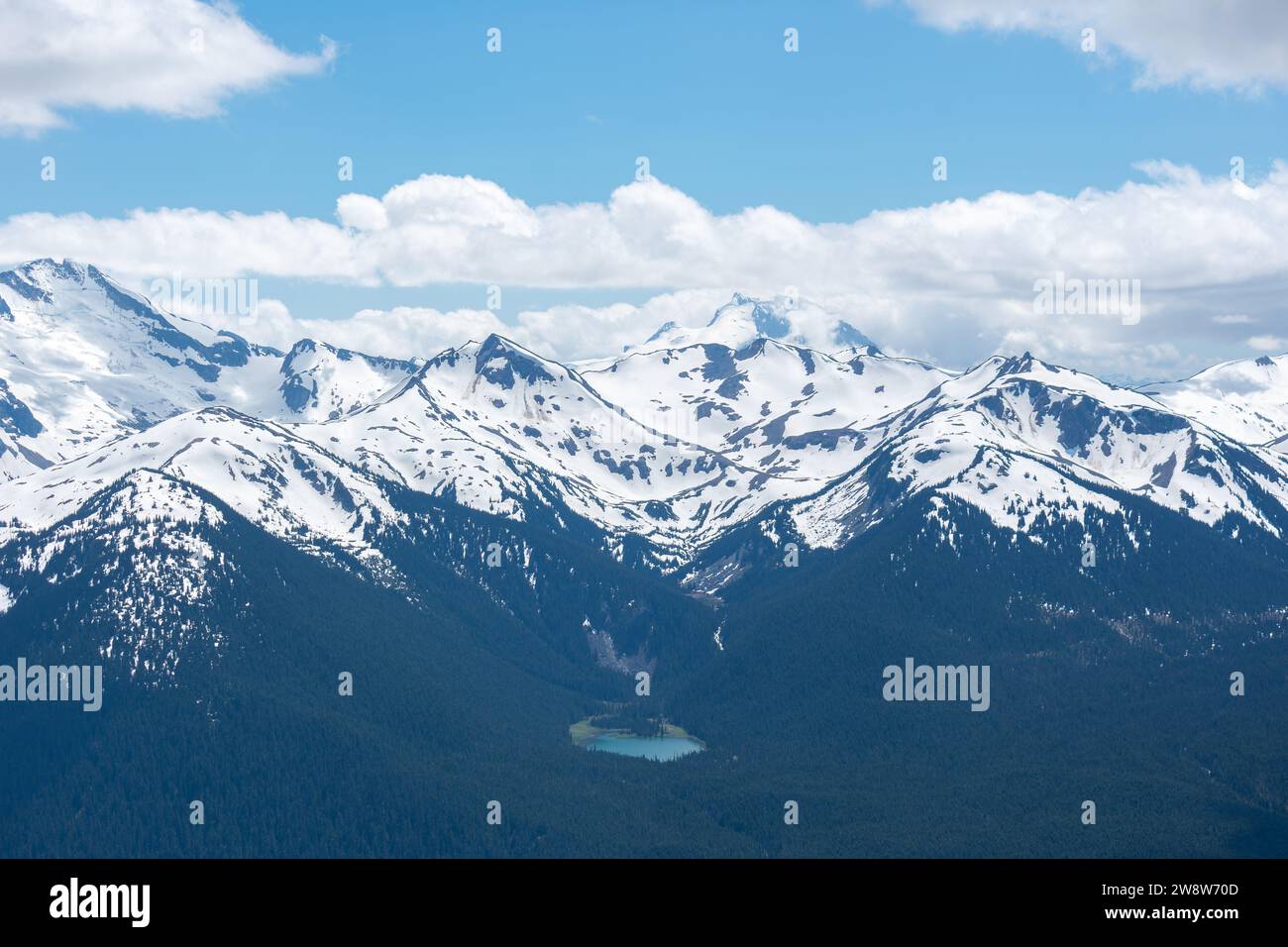 Le maestose Montagne Rocciose si innalzano sopra le verdi foreste della British Columbia. Foto Stock