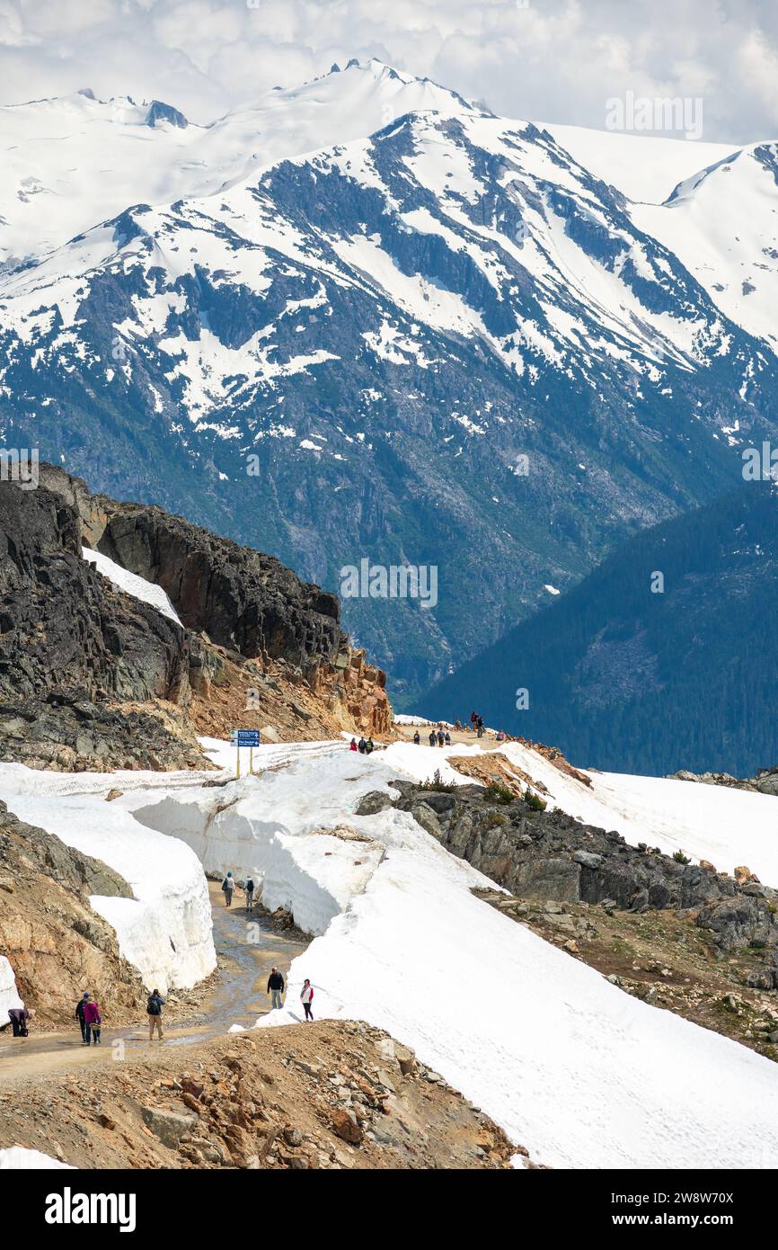 Gli escursionisti attraversano il sentiero delle pareti innevate in cima al monte Whistler. Foto Stock