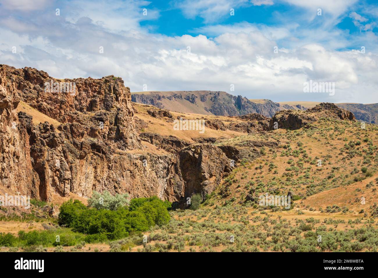 Si affaccia sulla Succor Creek State Natural area, Oregon Foto Stock