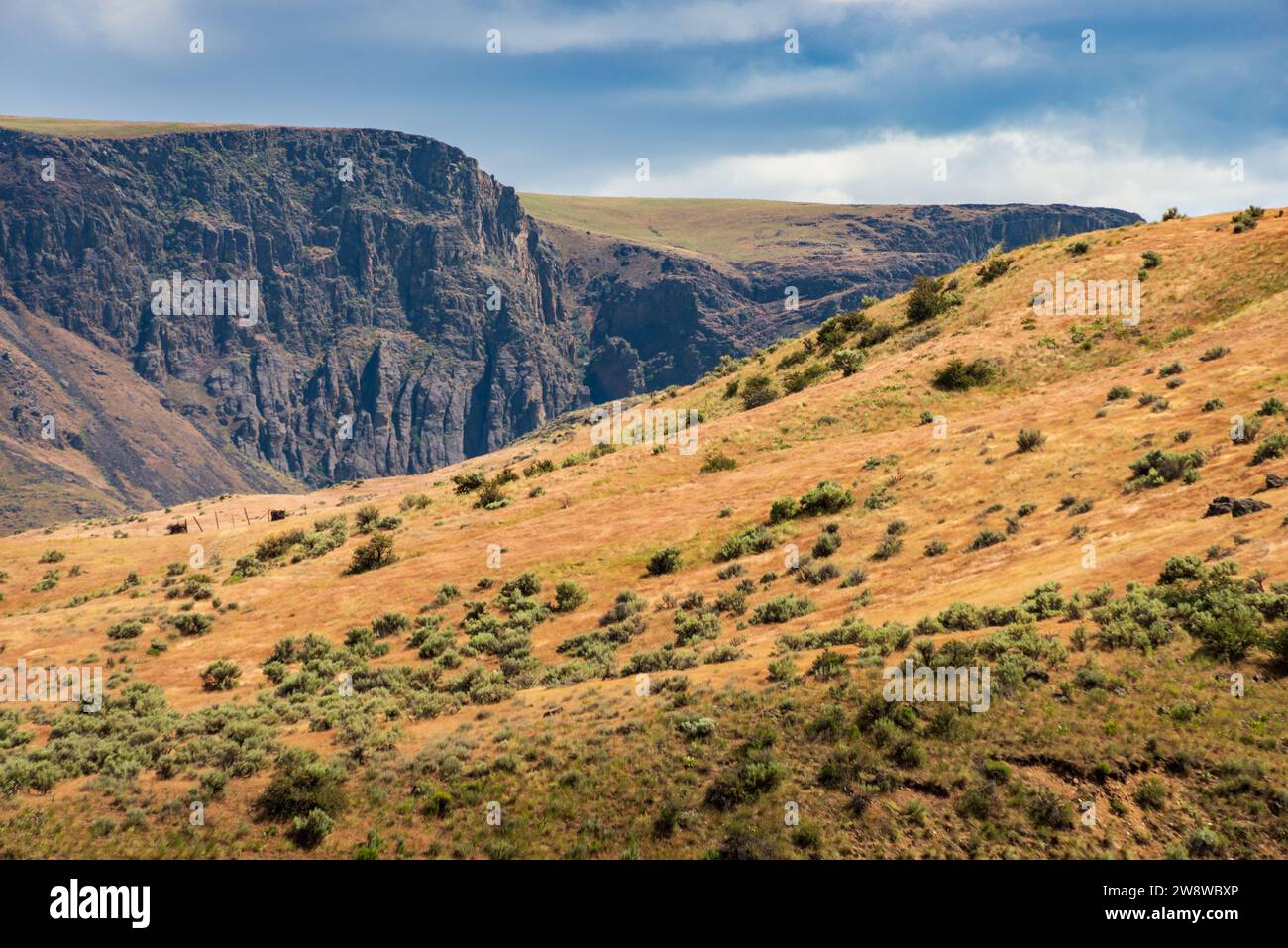 Si affaccia sulla Succor Creek State Natural area, Oregon Foto Stock