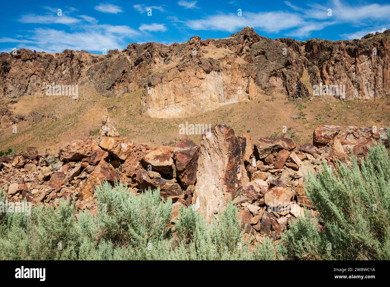 Si affaccia sulla Succor Creek State Natural area, Oregon Foto Stock