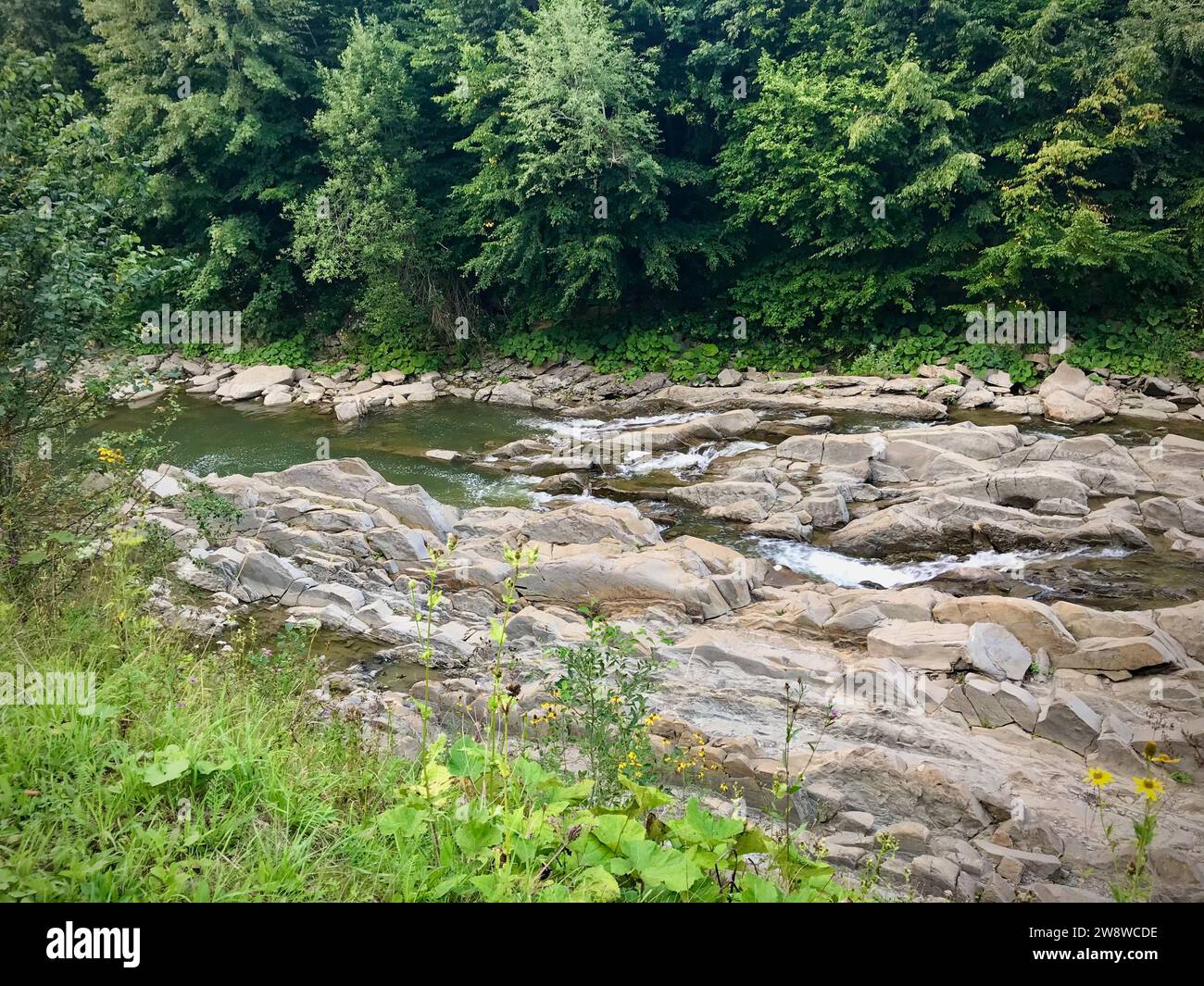 Un fiume forestale nei Monti Bieszczady, ci sono pietre sulla riva. Foto Stock