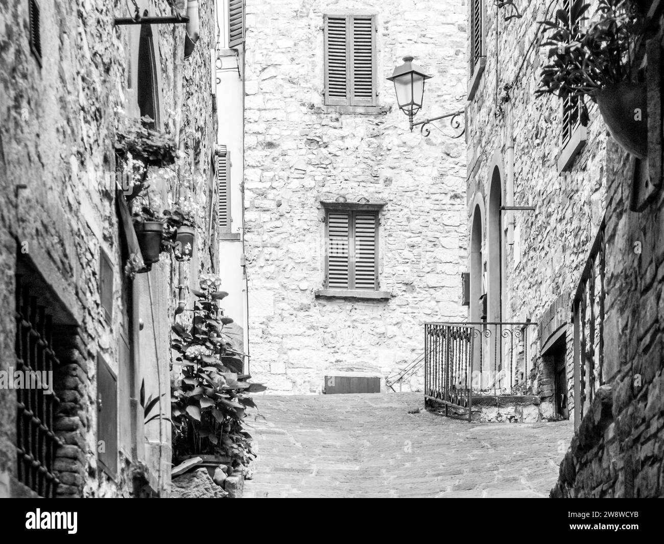 Antica strada medievale con fiori in case di pietra nella città toscana. Fotografia in bianco e nero. Foto Stock