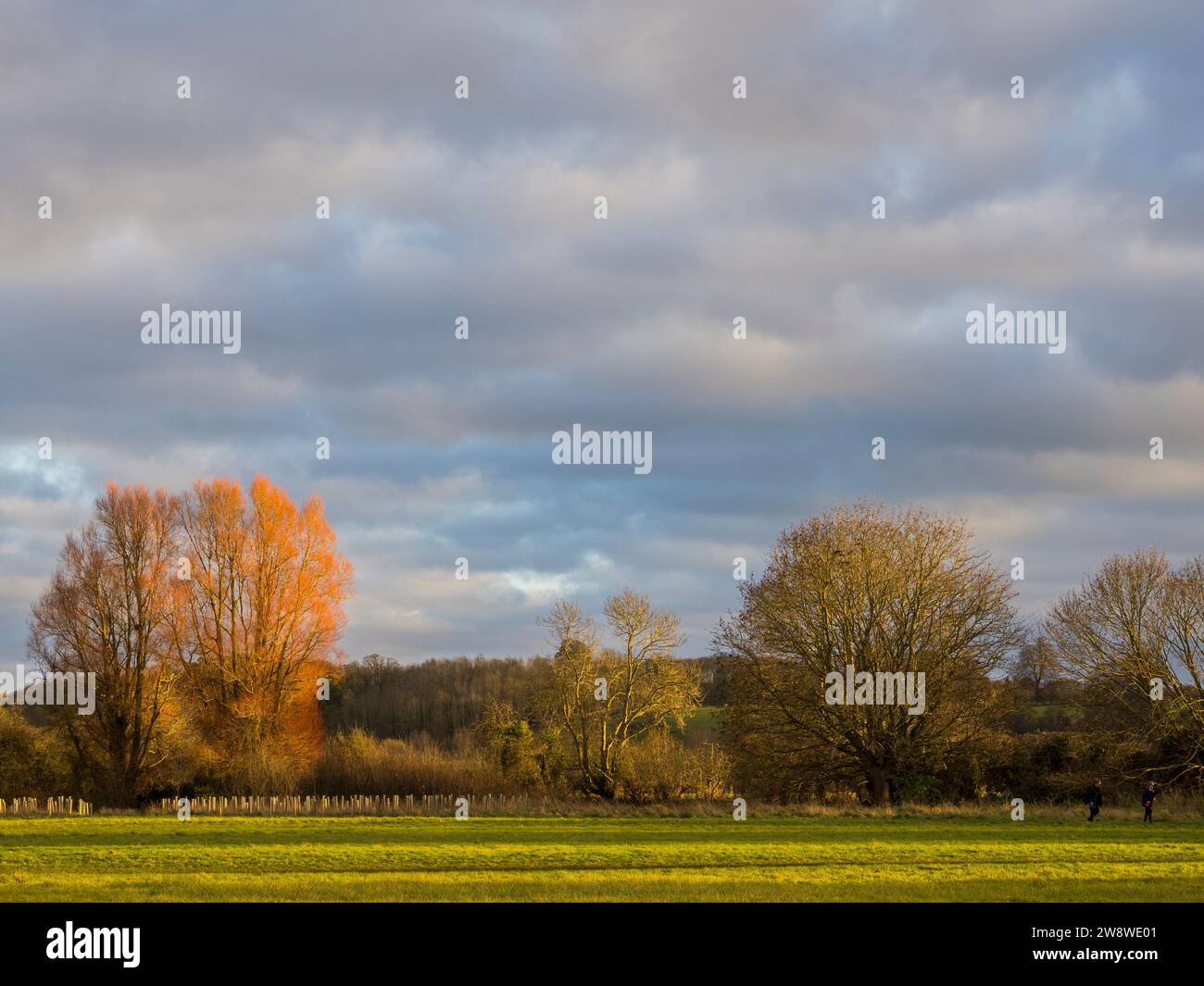 Sunset, Abbey Meadows, Abingdon-on-Thames, Oxfordshire, Inghilterra, REGNO UNITO, REGNO UNITO. Foto Stock