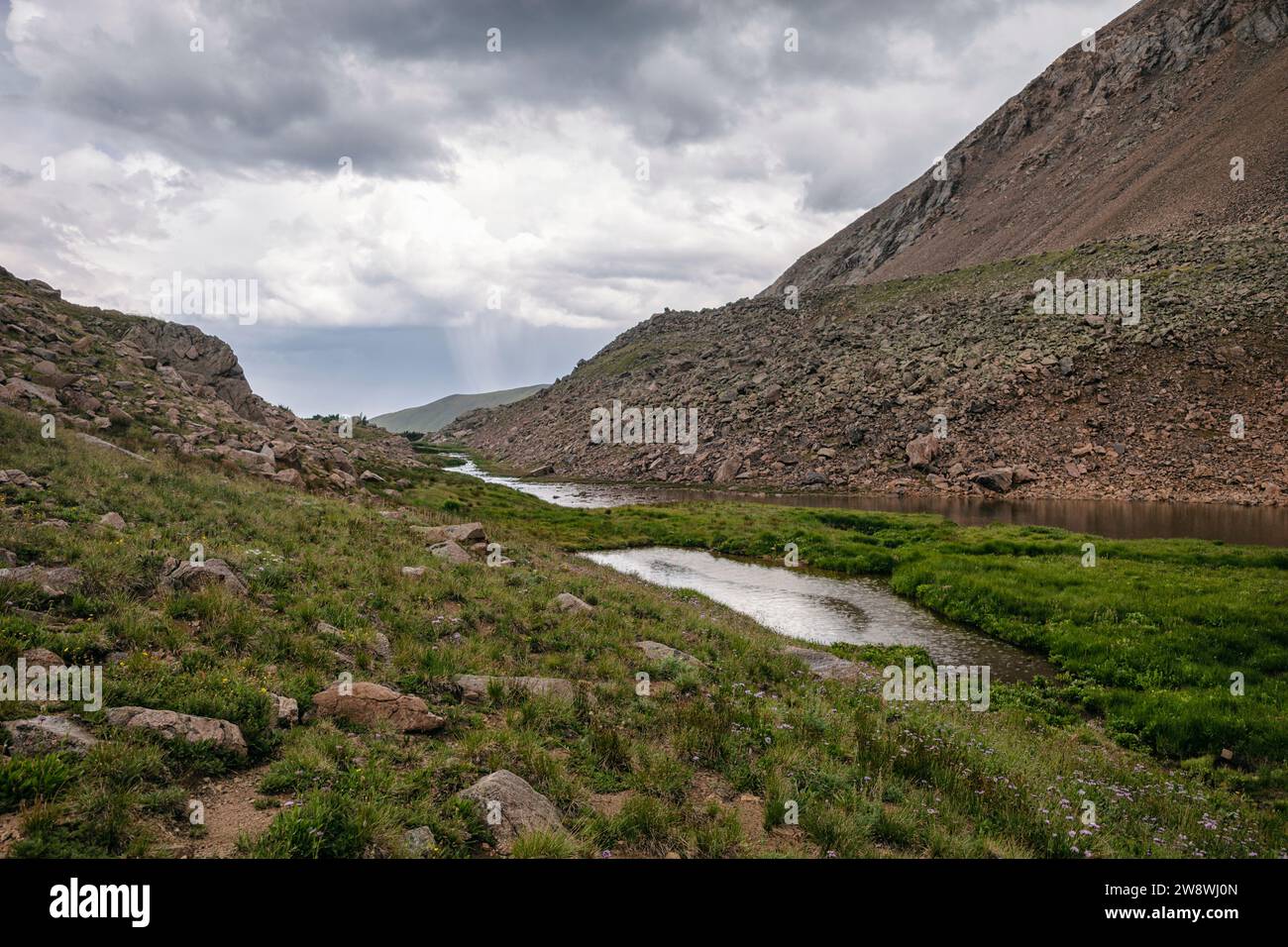 Paesaggio tundra nella James Peak Wilderness, Colorado Foto Stock