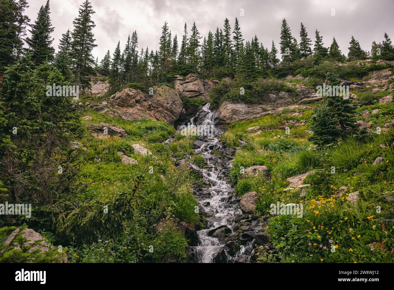 Cascata nella James Peak Wilderness, Colorado Foto Stock