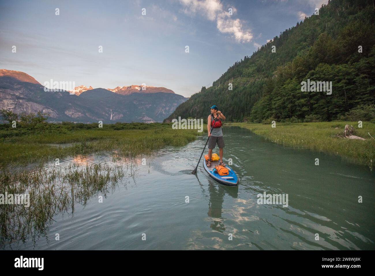 Vista frontale dell'uomo Paddle boarding nel lussureggiante canale fluviale, Squamish Foto Stock