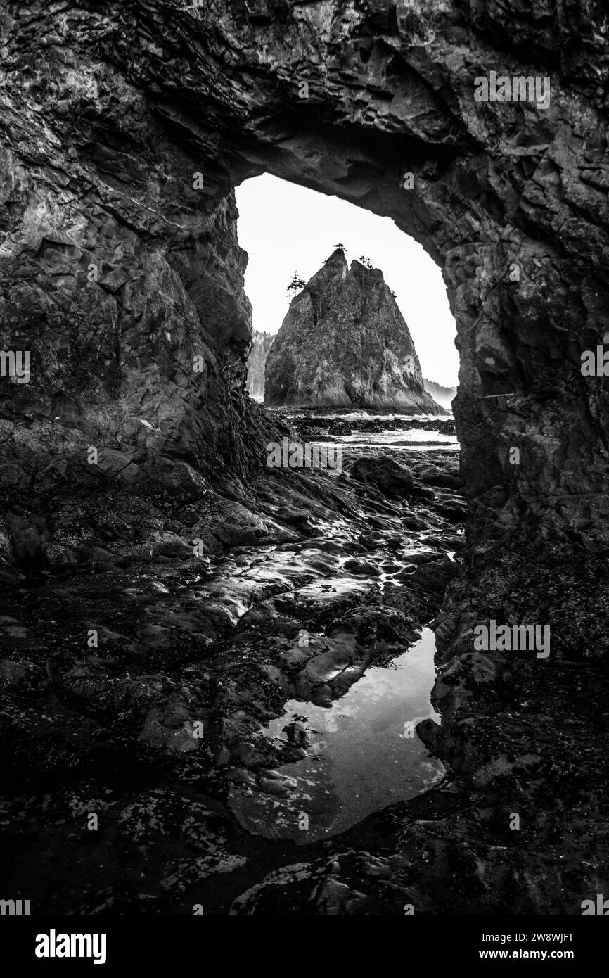 Vista monocromatica della pila del mare, Hole-in-the-Wall, Olympic National Park Foto Stock