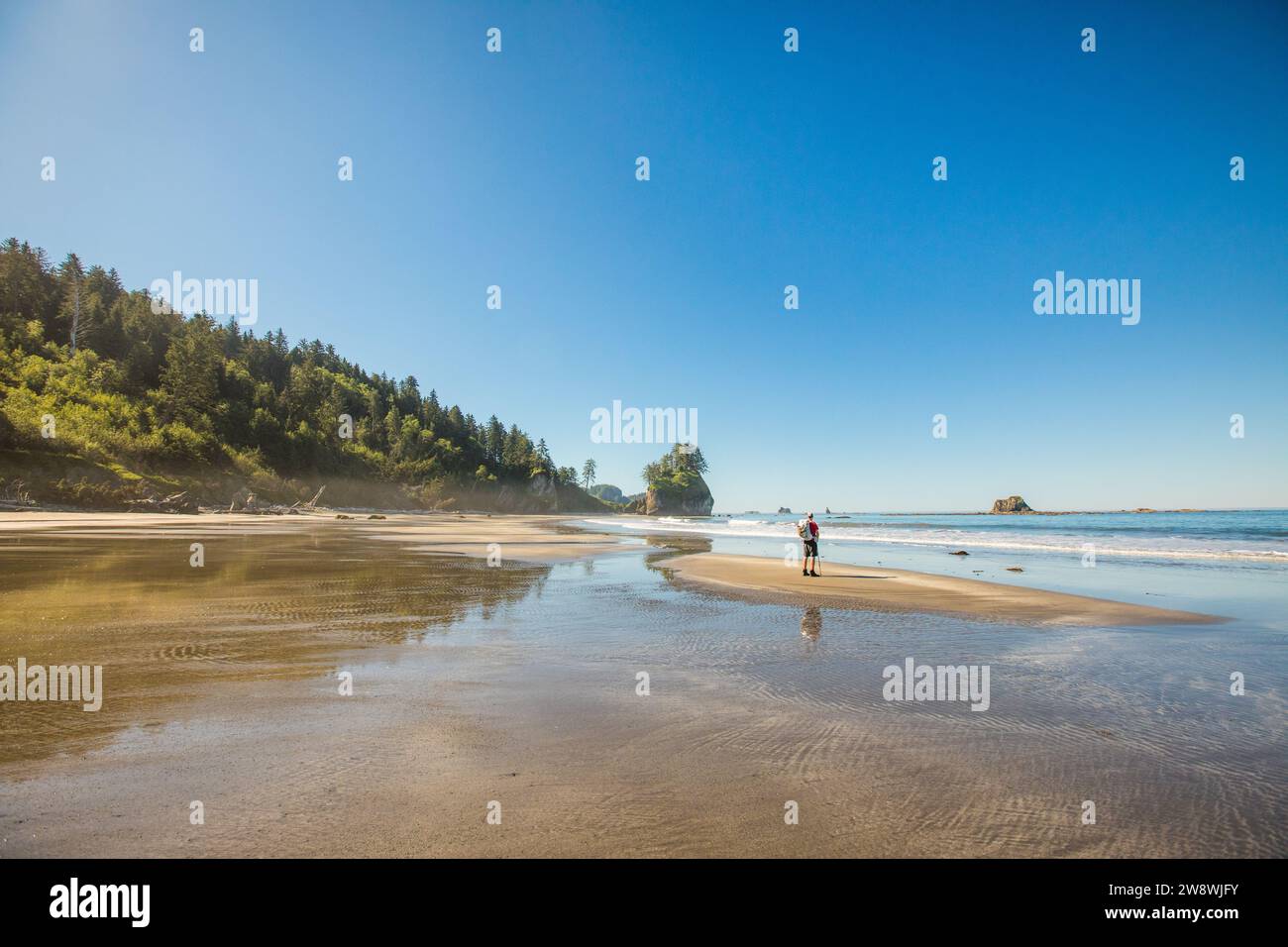 Vista in lontananza dei viaggiatori con zaino in spalla sulla spiaggia remota dell'Olympic National Park Foto Stock