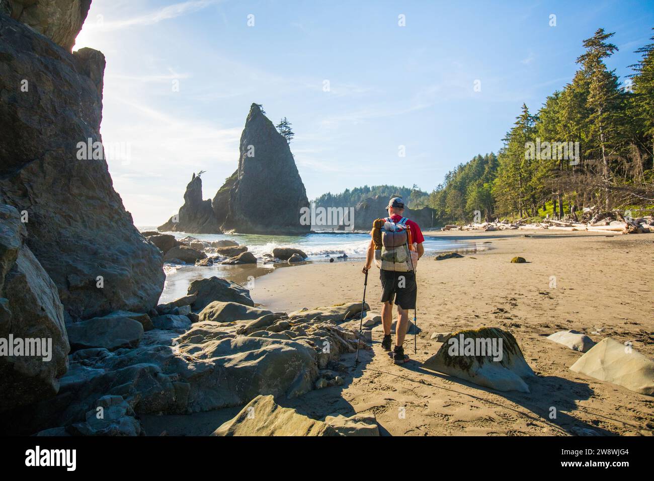 Vista posteriore del Pacific Northwest Scenic Trail Foto Stock