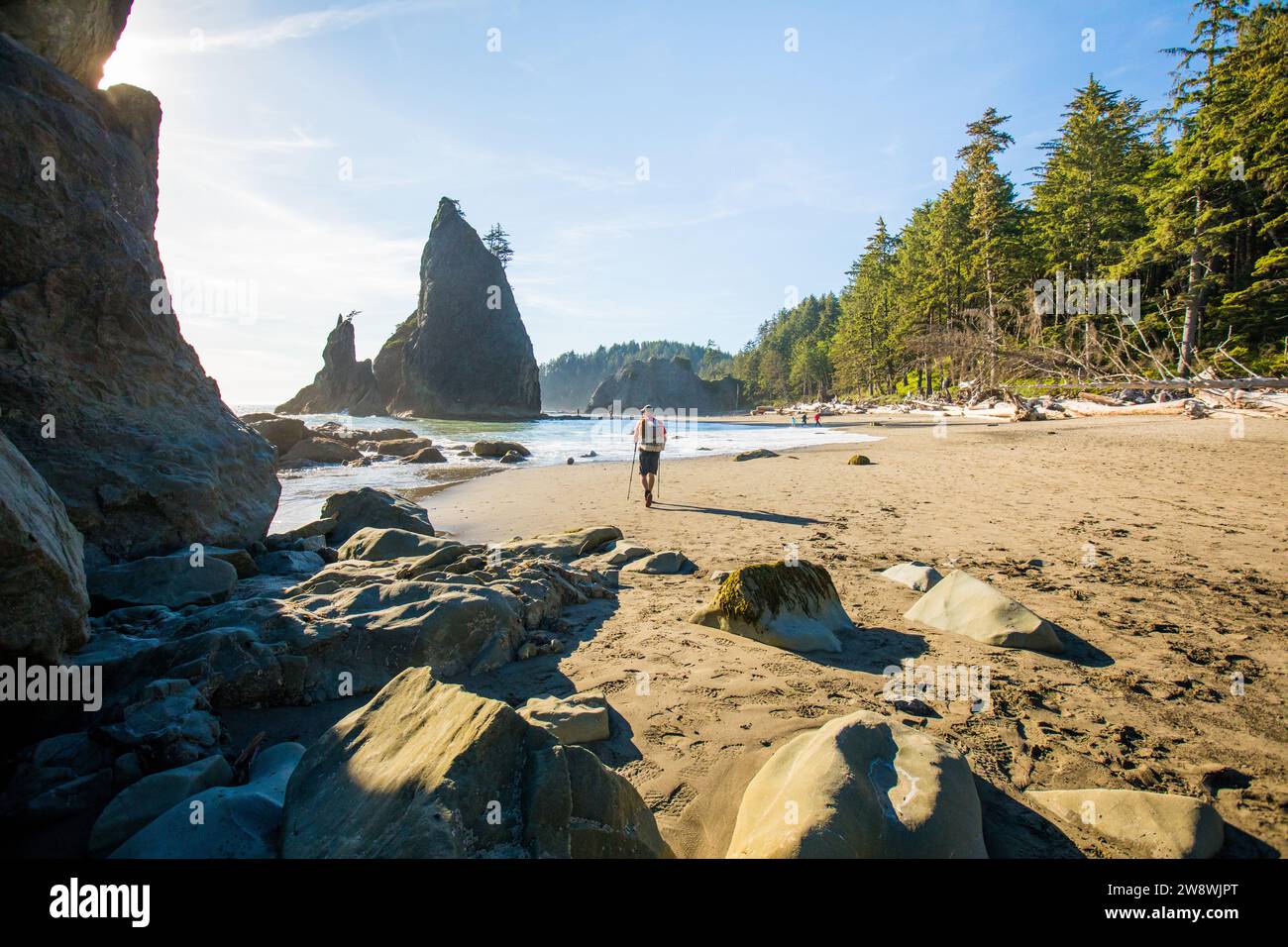 Vista posteriore a distanza della spiaggia per i viaggiatori con zaino in spalla, l'Olympic National Park Foto Stock